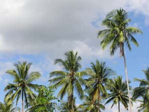 051108 Tanzania Zanzibar 225