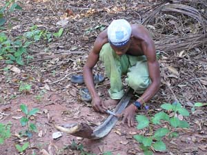 051108 Tanzania Zanzibar 232