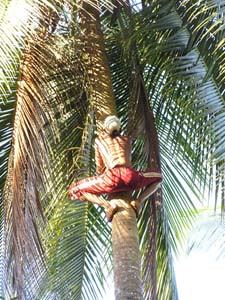 051108 Tanzania Zanzibar 237