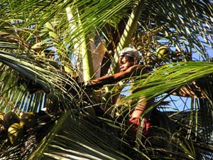 051108 Tanzania Zanzibar 240