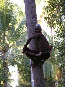 051108 Tanzania Zanzibar 234