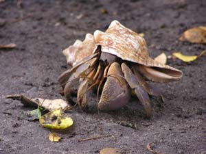 051108 Tanzania Zanzibar 273