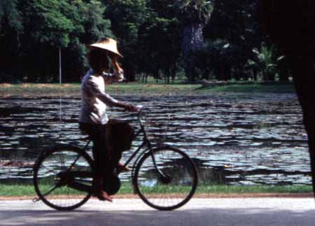 21 Radfahrer