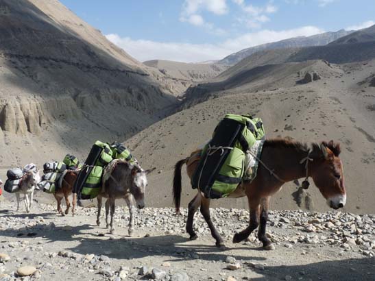 111106_Nepal_Mustang_0293_Kagbeni_Chele