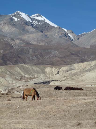 111110_Nepal_Mustang_0904_Lo_Manthang