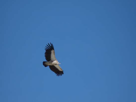 111110_Nepal_Mustang_0952_Lo_Manthang