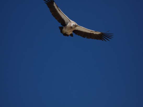 111110_Nepal_Mustang_0955_Lo_Manthang