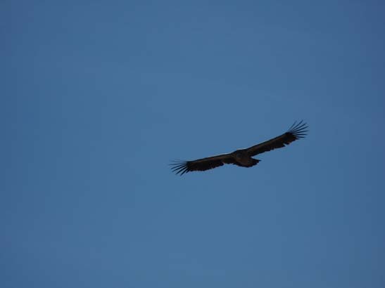 111110_Nepal_Mustang_0959_Lo_Manthang