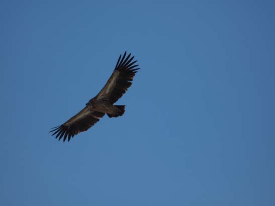111110_Nepal_Mustang_0960_Lo_Manthang