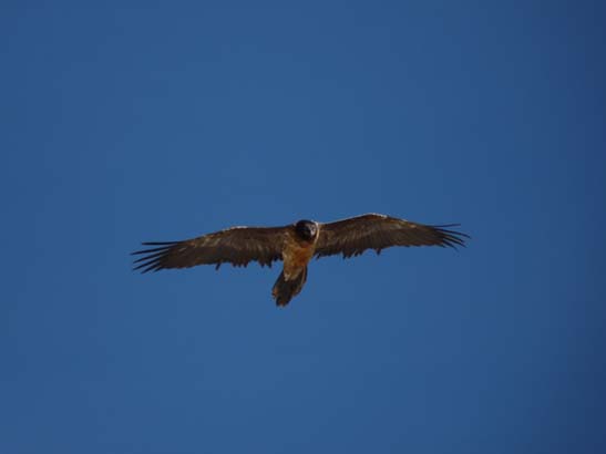 111110_Nepal_Mustang_0974_Lo_Manthang