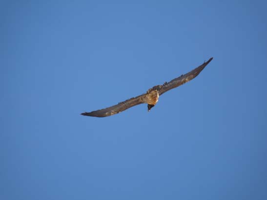 111110_Nepal_Mustang_0975_Lo_Manthang