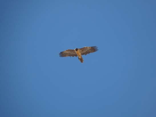 111110_Nepal_Mustang_0977_Lo_Manthang