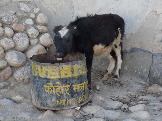 111110_Nepal_Mustang_1004_Lo_Manthang