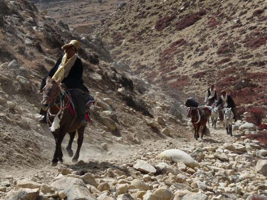 111111_Nepal_Mustang_1067_Lo_Manthang_Dhakmar