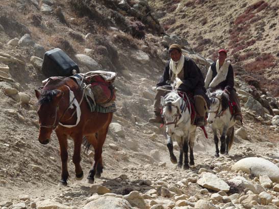 111111_Nepal_Mustang_1068_Lo_Manthang_Dhakmar