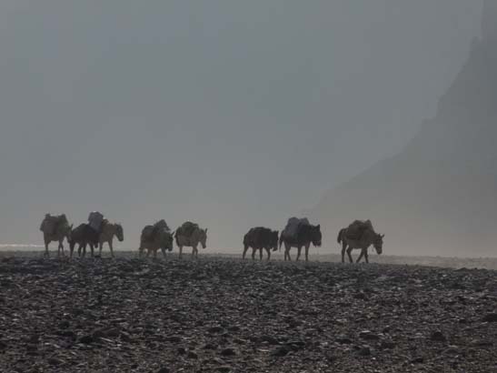 111113_Nepal_Mustang_1428_Syangboche_Chhusang