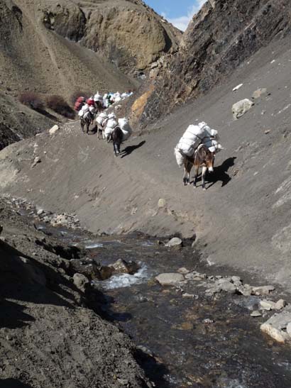 111114_Nepal_Mustang_1466_Chhusang_Muktinath