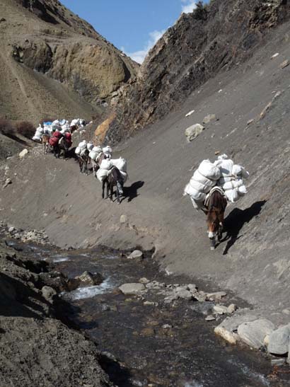 111114_Nepal_Mustang_1467_Chhusang_Muktinath