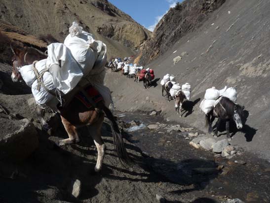 111114_Nepal_Mustang_1468_Chhusang_Muktinath