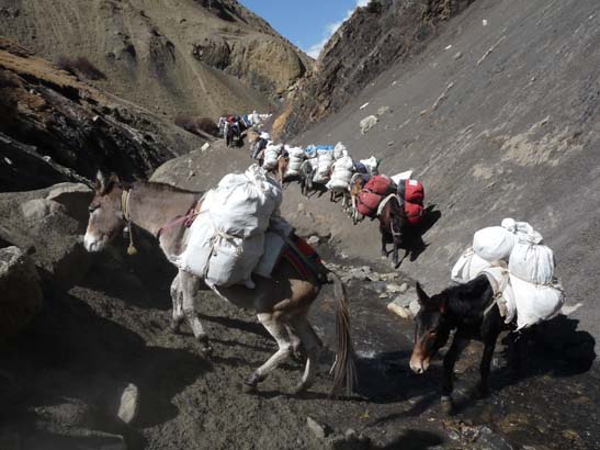 111114_Nepal_Mustang_1470_Chhusang_Muktinath