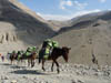 111106_Nepal_Mustang_0292_Kagbeni_Chele