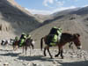 111106_Nepal_Mustang_0293_Kagbeni_Chele