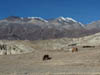 111110_Nepal_Mustang_0902_Lo_Manthang