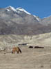 111110_Nepal_Mustang_0904_Lo_Manthang