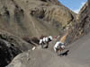 111114_Nepal_Mustang_1465_Chhusang_Muktinath
