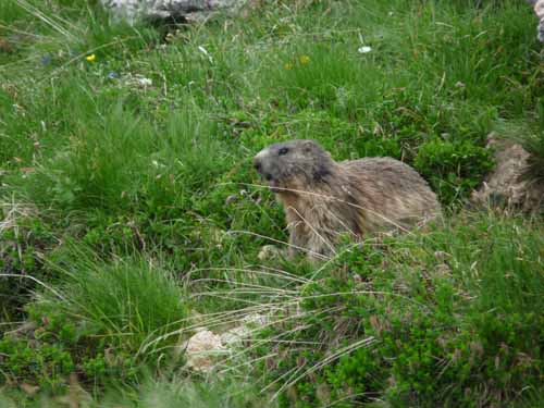 2_Geislerspitzen0698