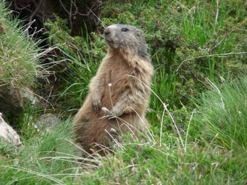 2_Geislerspitzen0700