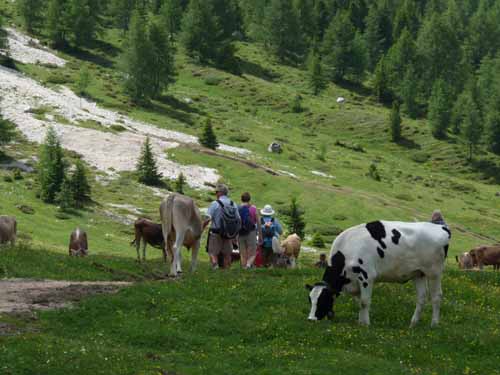 6_SteinerneStadt_604