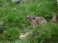 2_Geislerspitzen0698