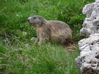 2_Geislerspitzen0699