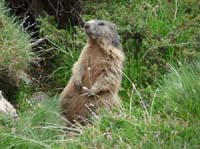 2_Geislerspitzen0700