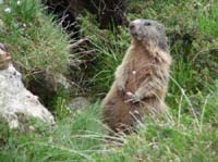 2_Geislerspitzen0701