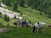 6_SteinerneStadt_604