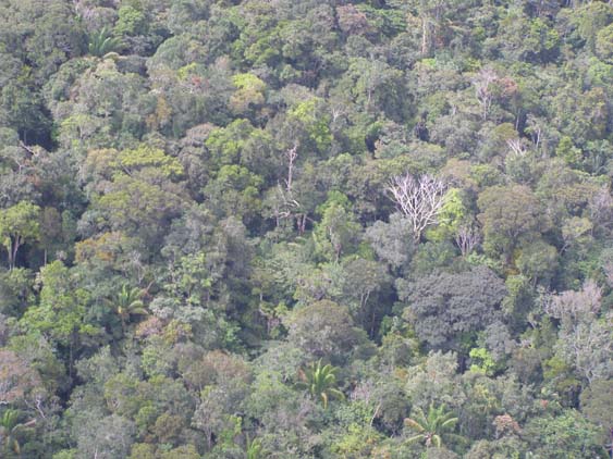 071110_-_Ciudad_Bolivar_-_Uruyen_-_018