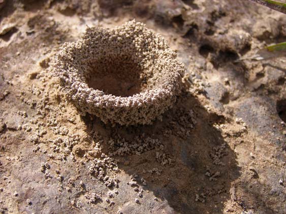 071111 - Uruyen - Guayaraca 038