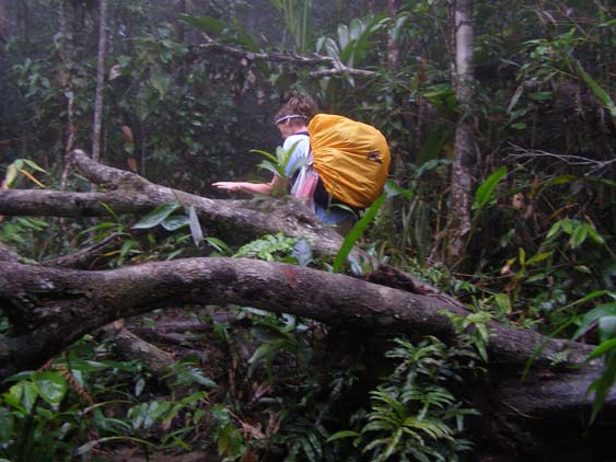Auyan Tepui Trekking, Venezuela