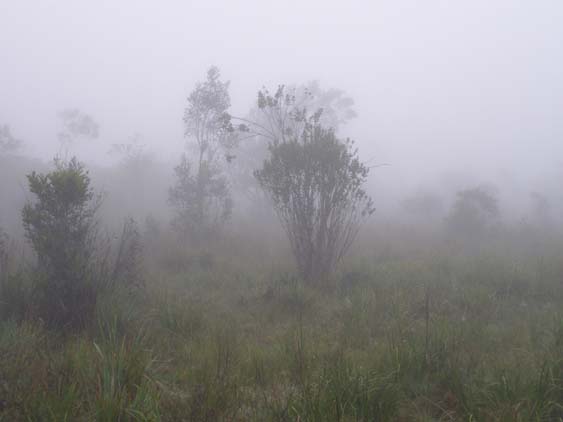 071112_-_Guayaraca_-_El_Penon_003