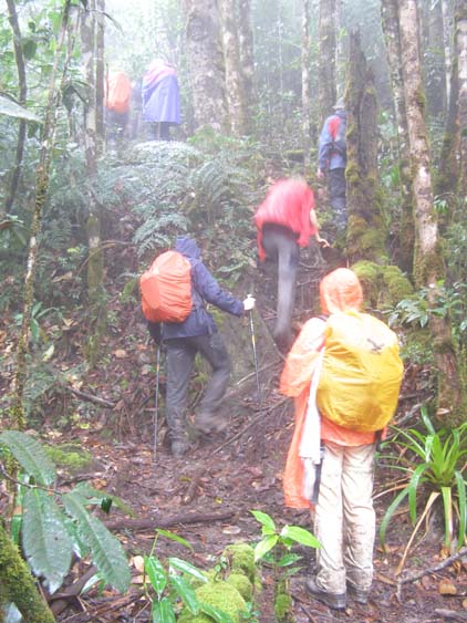 071112_-_Guayaraca_-_El_Penon_027