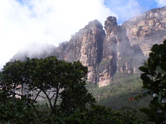 Auyan Tepui Trekking, Venezuela