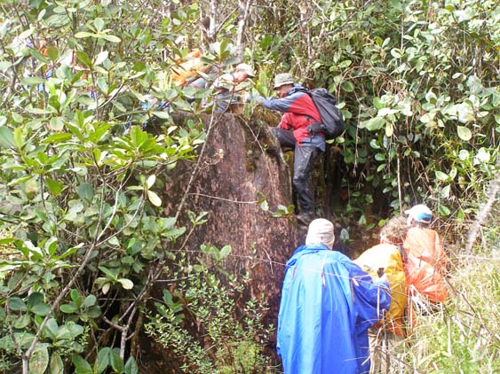 071112_-_Guayaraca_-_El_Penon_058