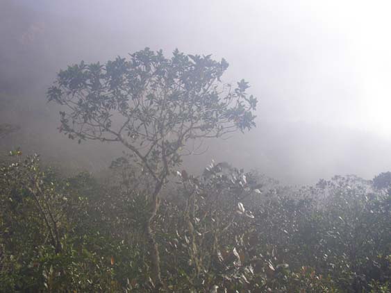 071113 - El Penon - El Oso 003