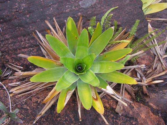 071113 - El Penon - El Oso 008