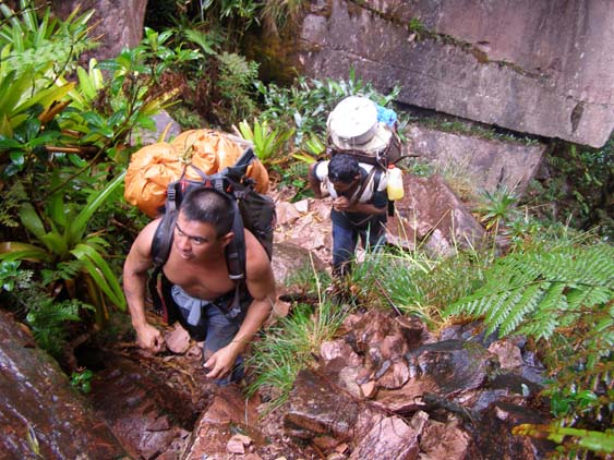 Auyan Tepui, Venezuela