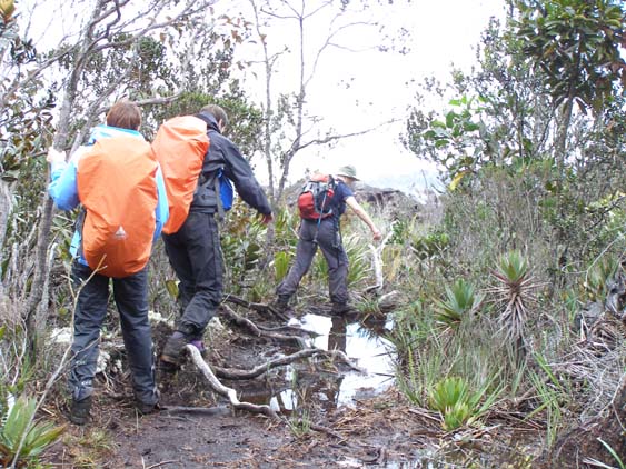 071113 - El Penon - El Oso 073