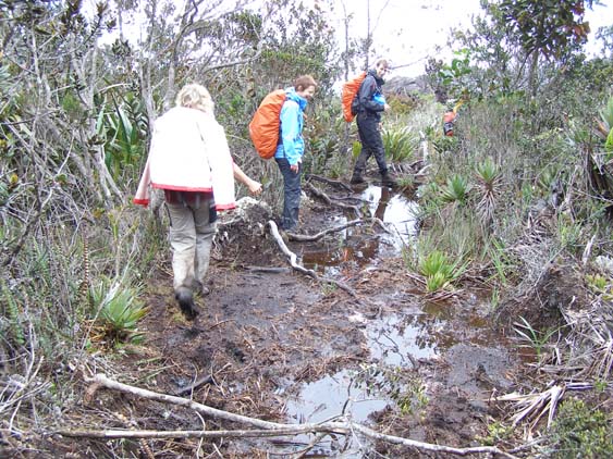 071113 - El Penon - El Oso 074