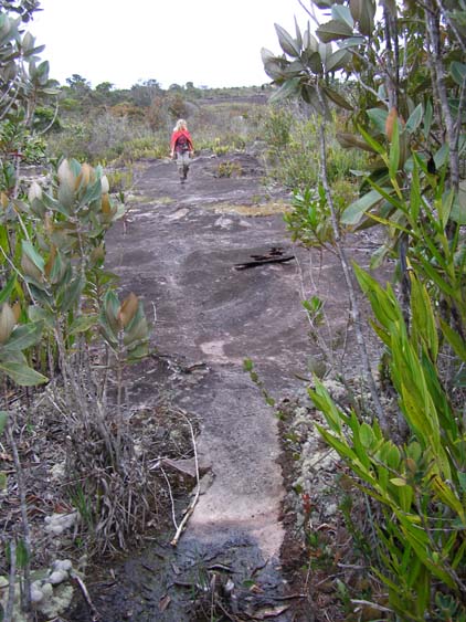 071113 - El Penon - El Oso 082